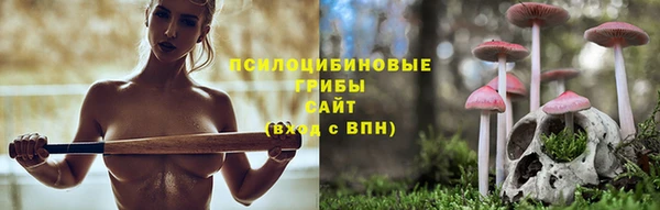 героин Алзамай