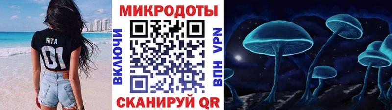 Псилоцибиновые грибы Psilocybine cubensis Спас-Клепики